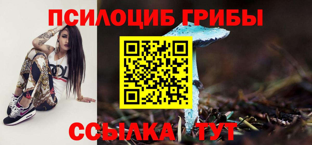 Сегежа  Псилоцибиновые грибы Cubensis  Вход с VPN 